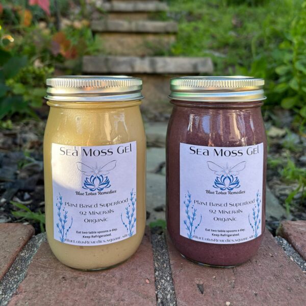 GOLD Sea Moss (Ginger and Lime)