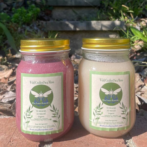 GOLD Sea Moss (Ginger and Lime) - Image 3