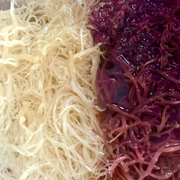 GOLD Sea Moss (Ginger and Lime) - Image 5